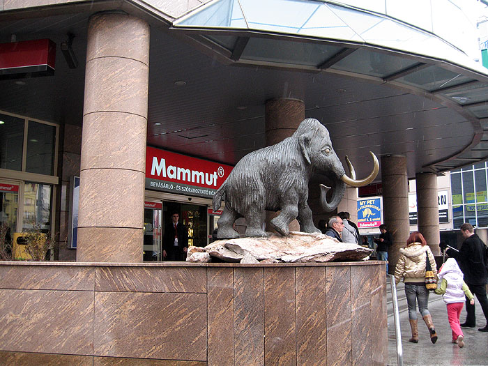mammut store