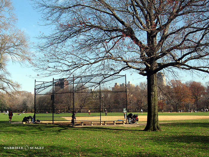 baseball central park