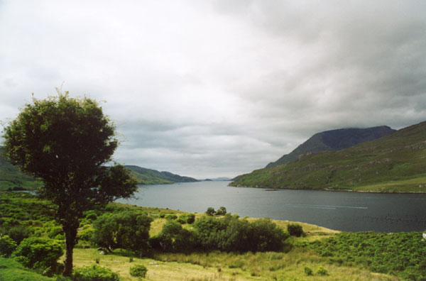 Oceanic fjord