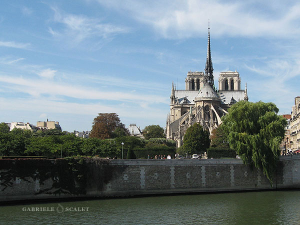 scorcio di Notre Dame